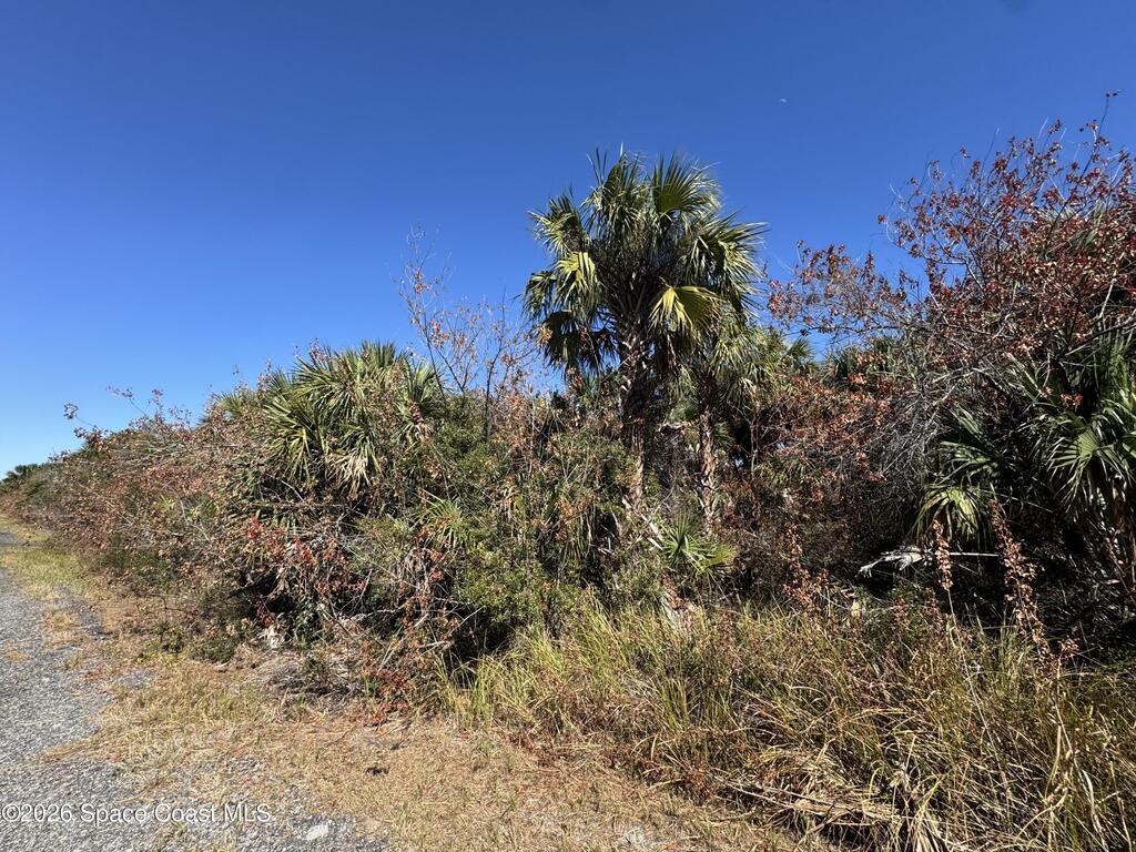 1981 Goodreau Avenue, Palm Bay, FL 32908