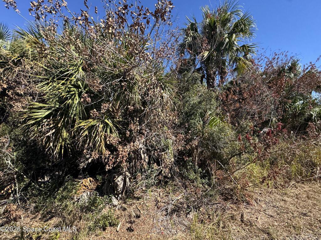 1981 Goodreau Avenue, Palm Bay, FL 32908