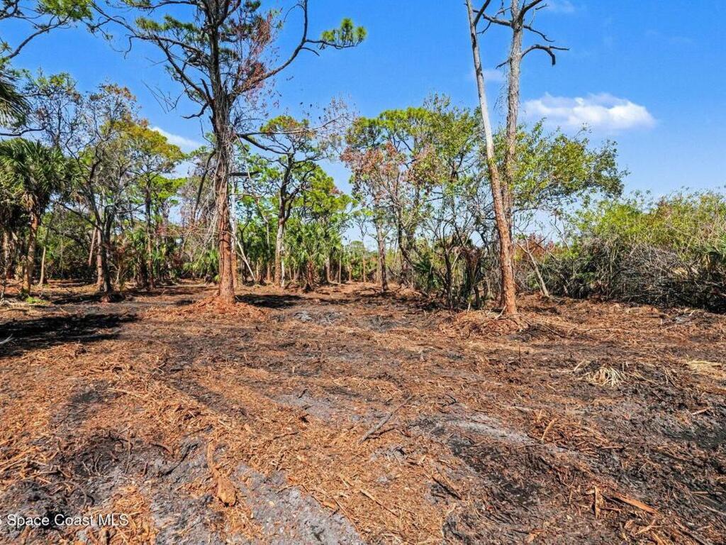 Via Roma, Merritt Island, FL 32952