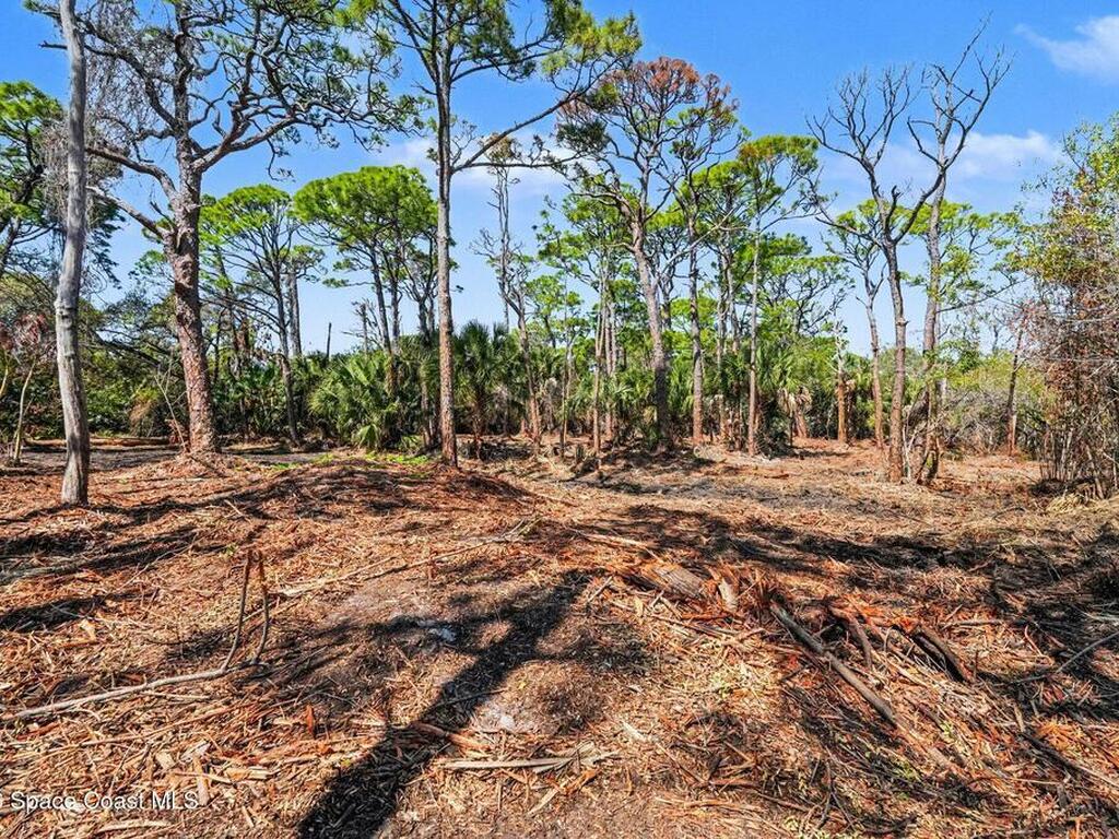 Via Roma, Merritt Island, FL 32952