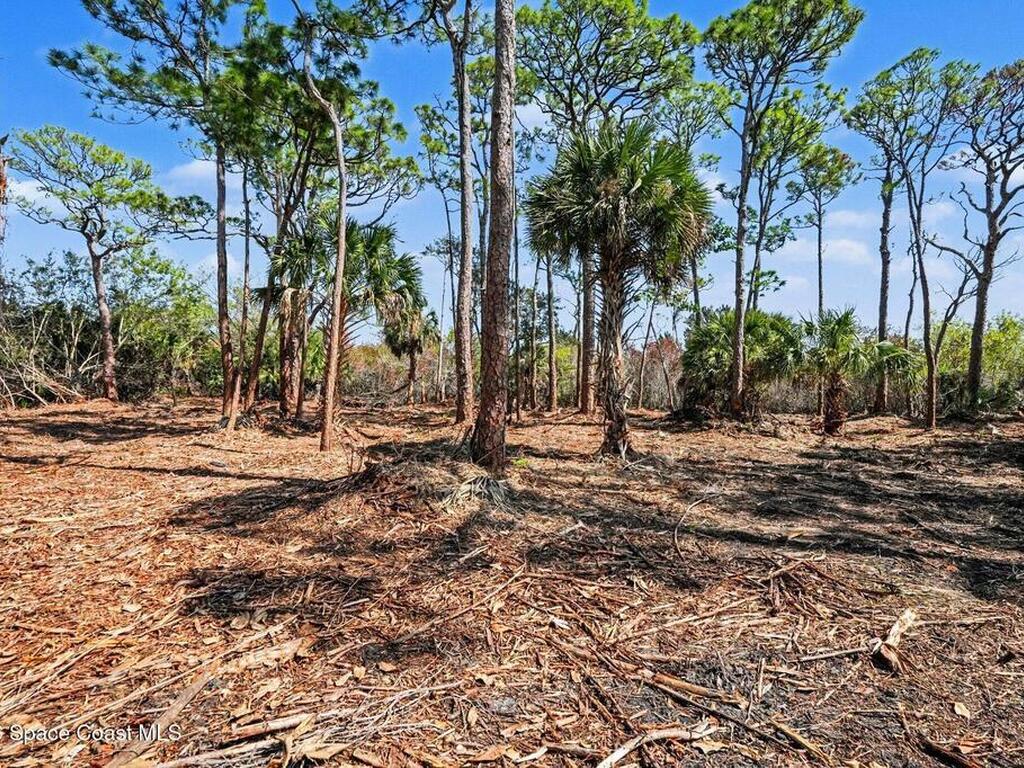 Via Roma, Merritt Island, FL 32952