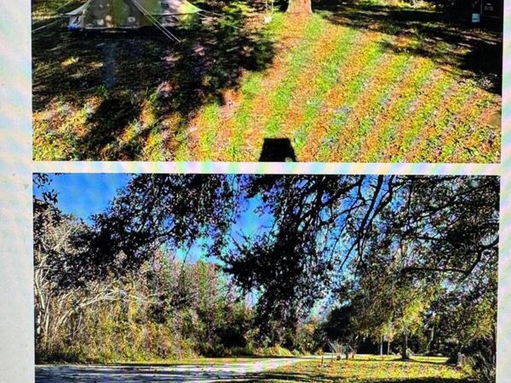 0000 Grove Drive, Sanford, FL 32773