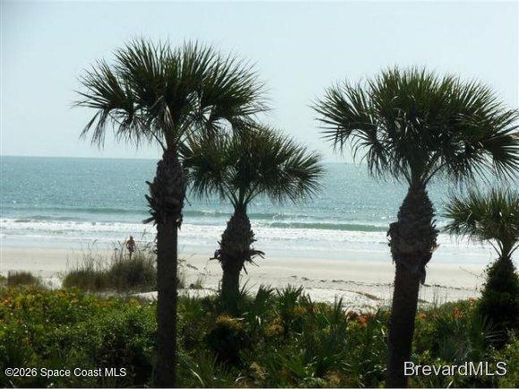 334 Beach Park Lane, Cape Canaveral, FL 32920