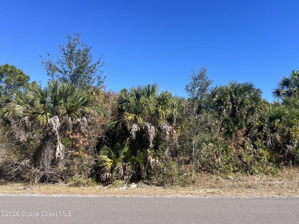 541 La Goy Street, Palm Bay, FL 32908