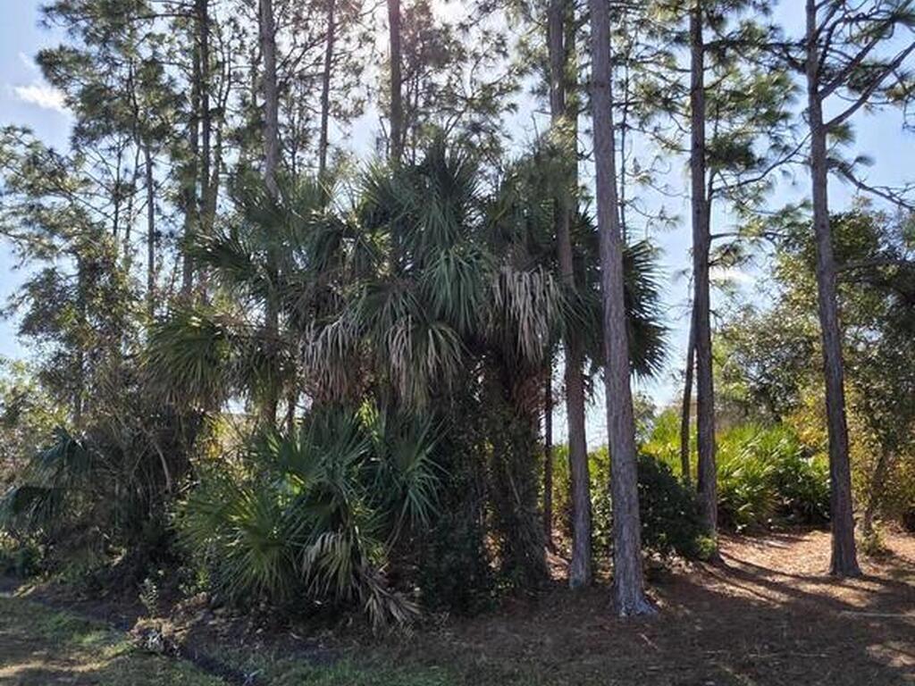 770 Montrose Street, Palm Bay, FL 32909