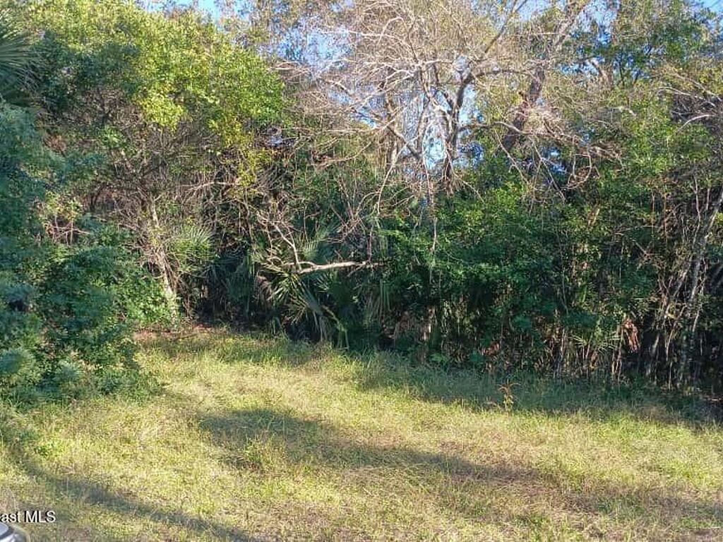 Avenue O, Ormond Beach, FL 32174