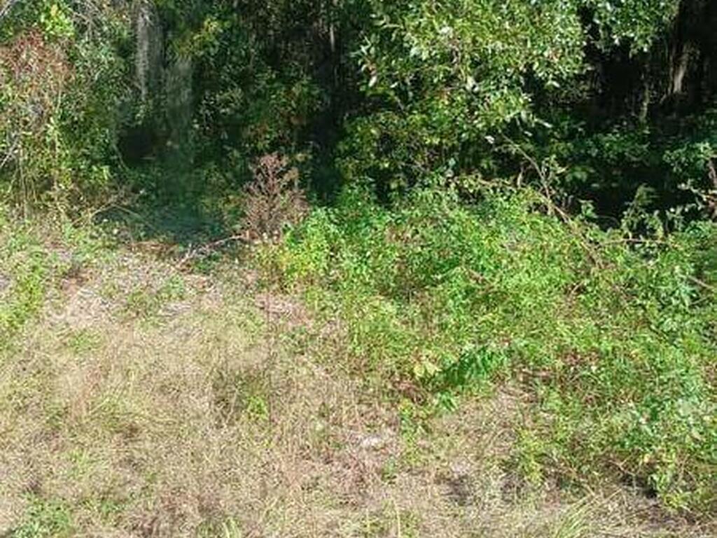Avenue O, Ormond Beach, FL 32174