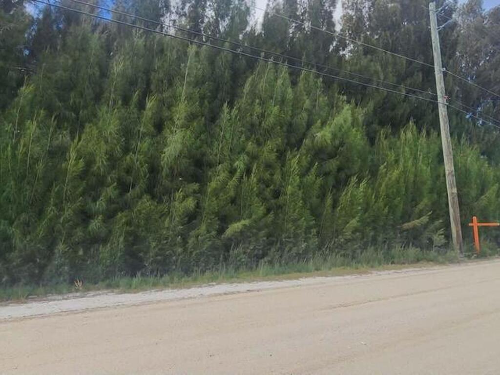 0000 Judson Road, Merritt Island, FL 32953