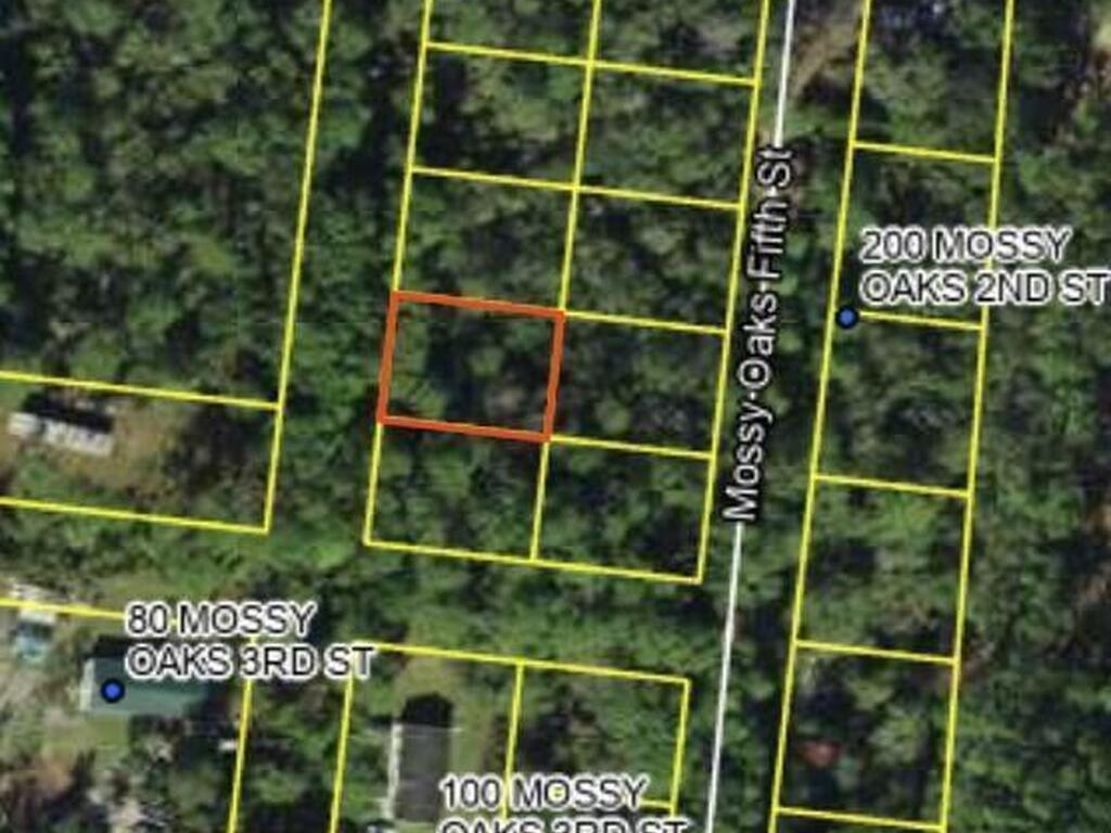 200 Mossy Oaks Fourth Street, Other, FL 99999