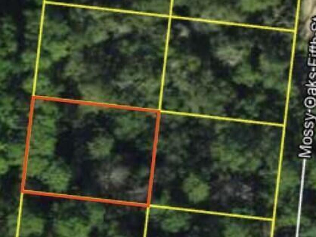 200 Mossy Oaks Fourth Street, Other, FL 99999