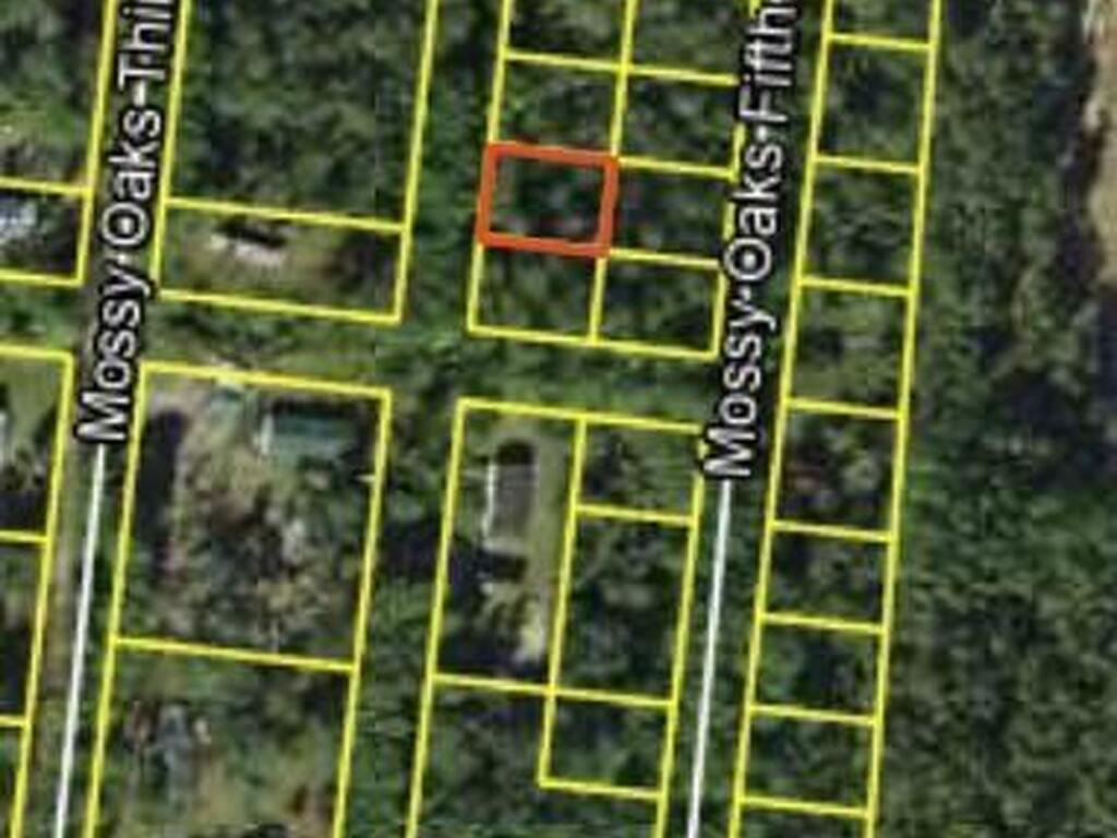 200 Mossy Oaks Fourth Street, Other, FL 99999
