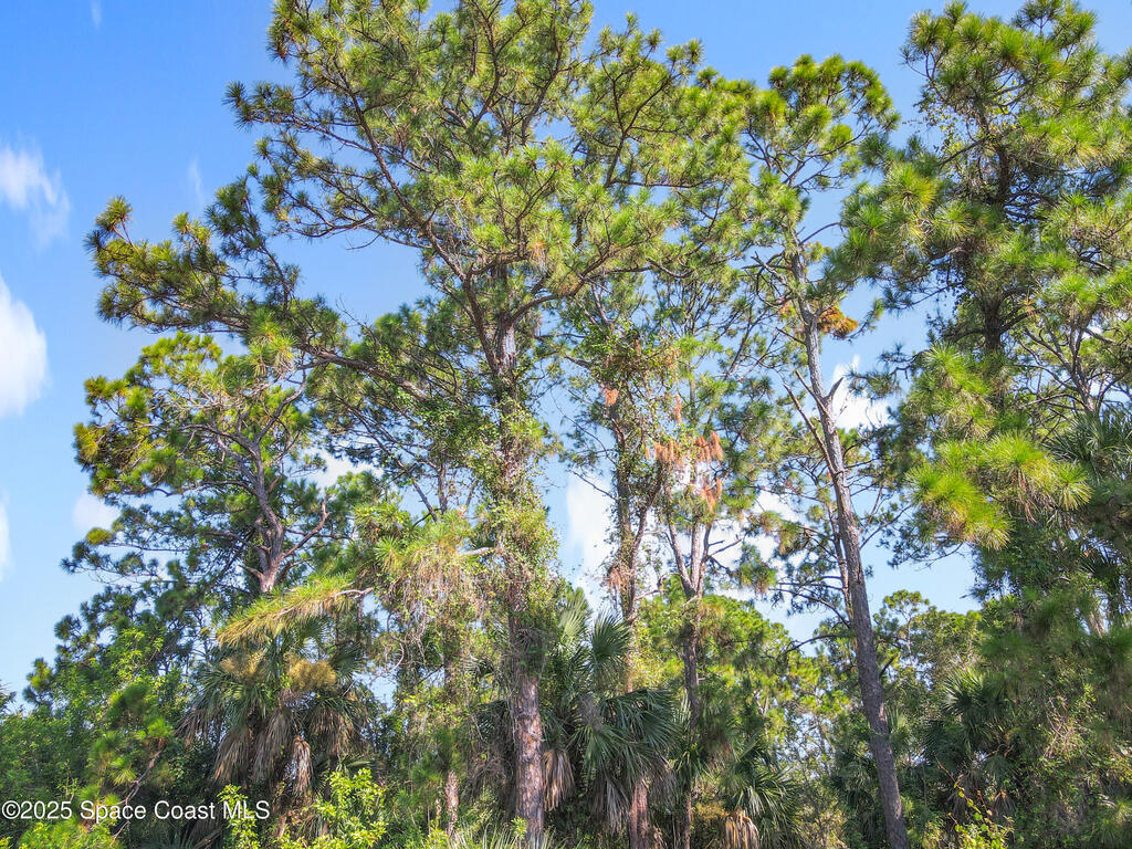 491 Fairbanks Street, Palm Bay, FL 32908