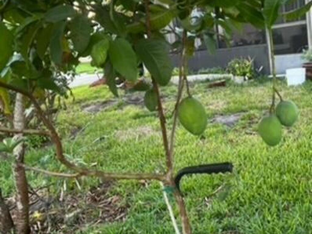 3403 Cloudberry Place, Melbourne, FL 32940