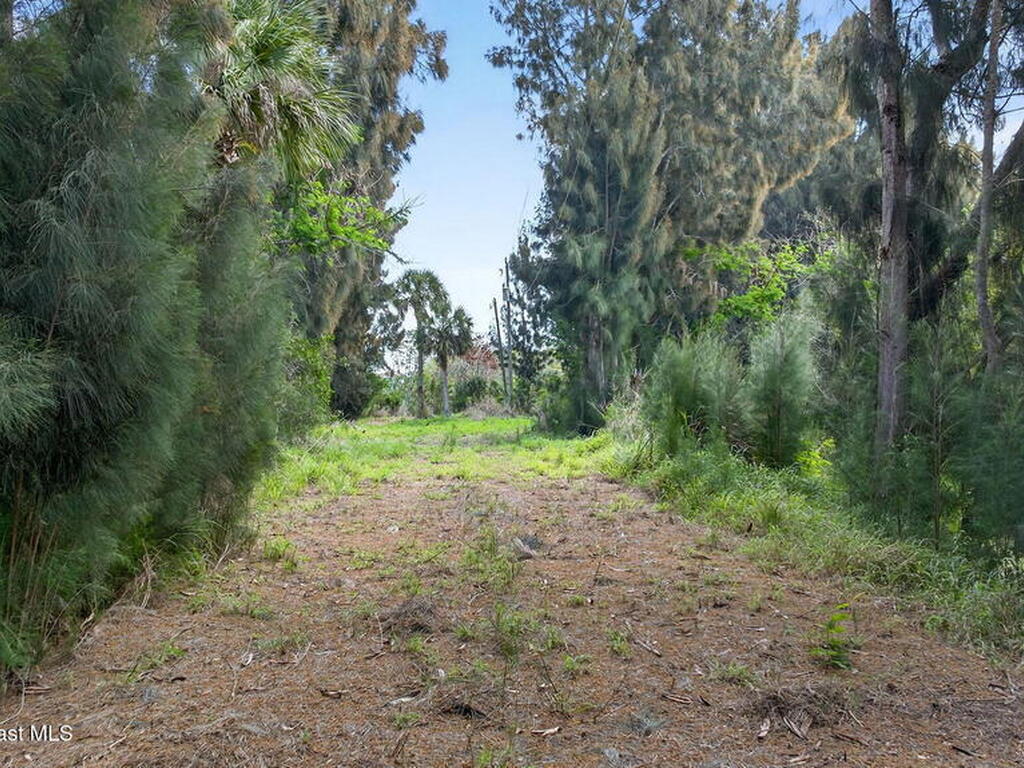 5590 Joseph Court, Merritt Island, FL 32953