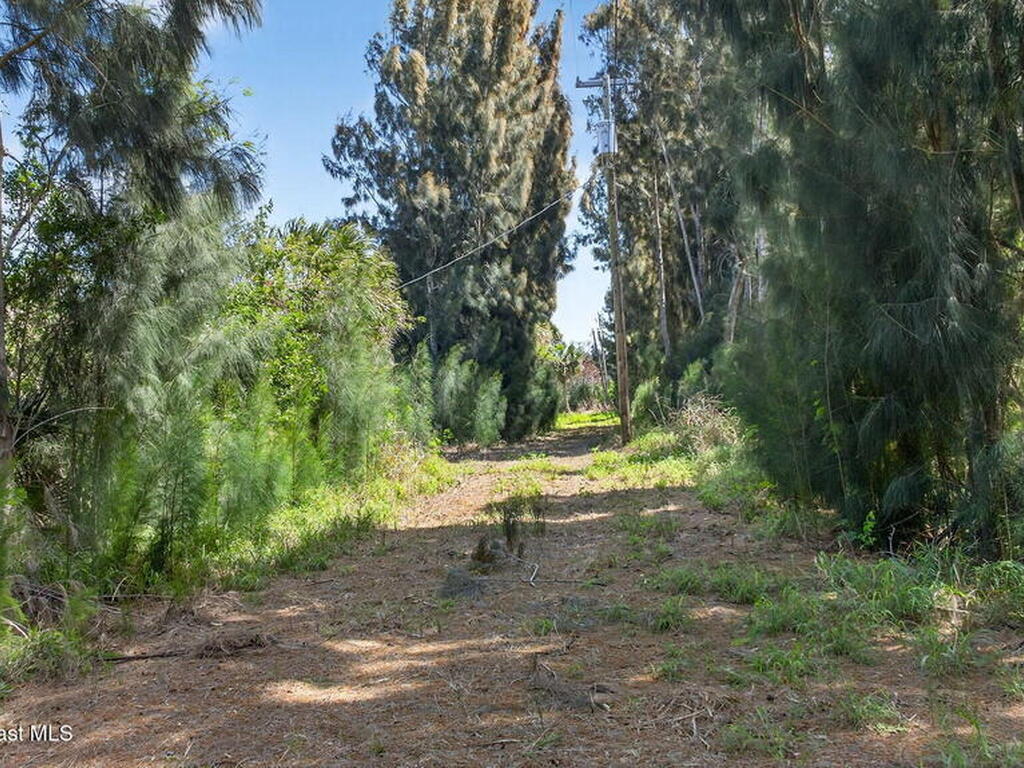 5590 Joseph Court, Merritt Island, FL 32953