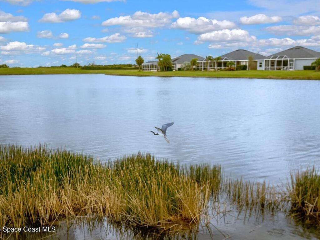 3467 Farragut Place, Melbourne, FL 32940