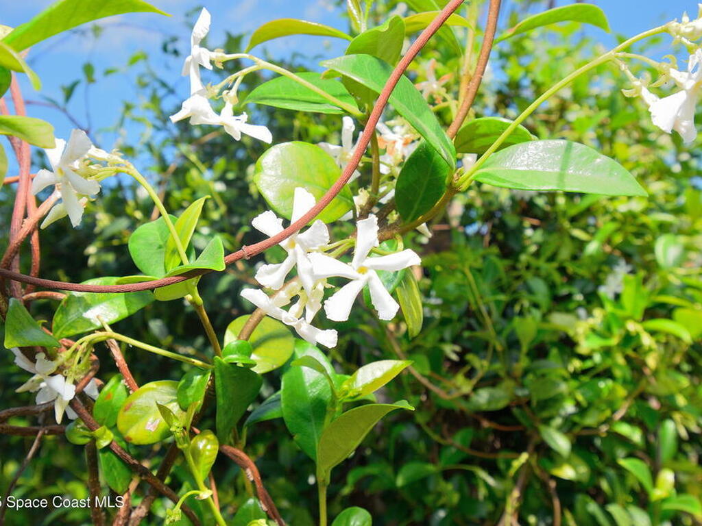 325 N Orlando Avenue, Cocoa Beach, FL 32931