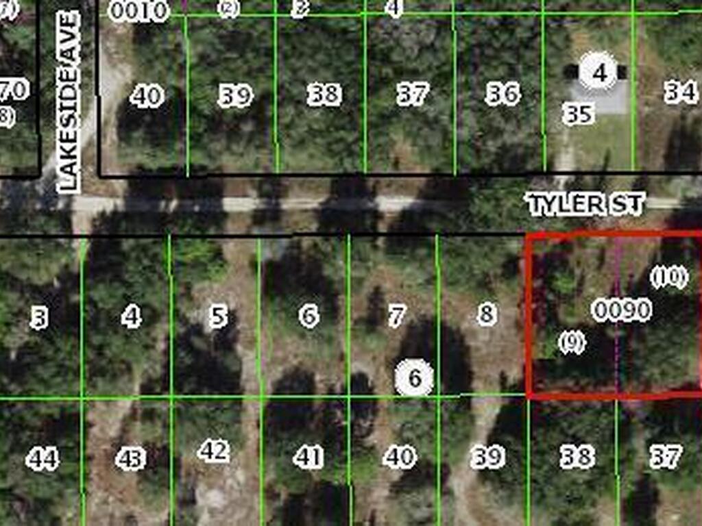 2503 Tyler Street, Inverness, FL 34452