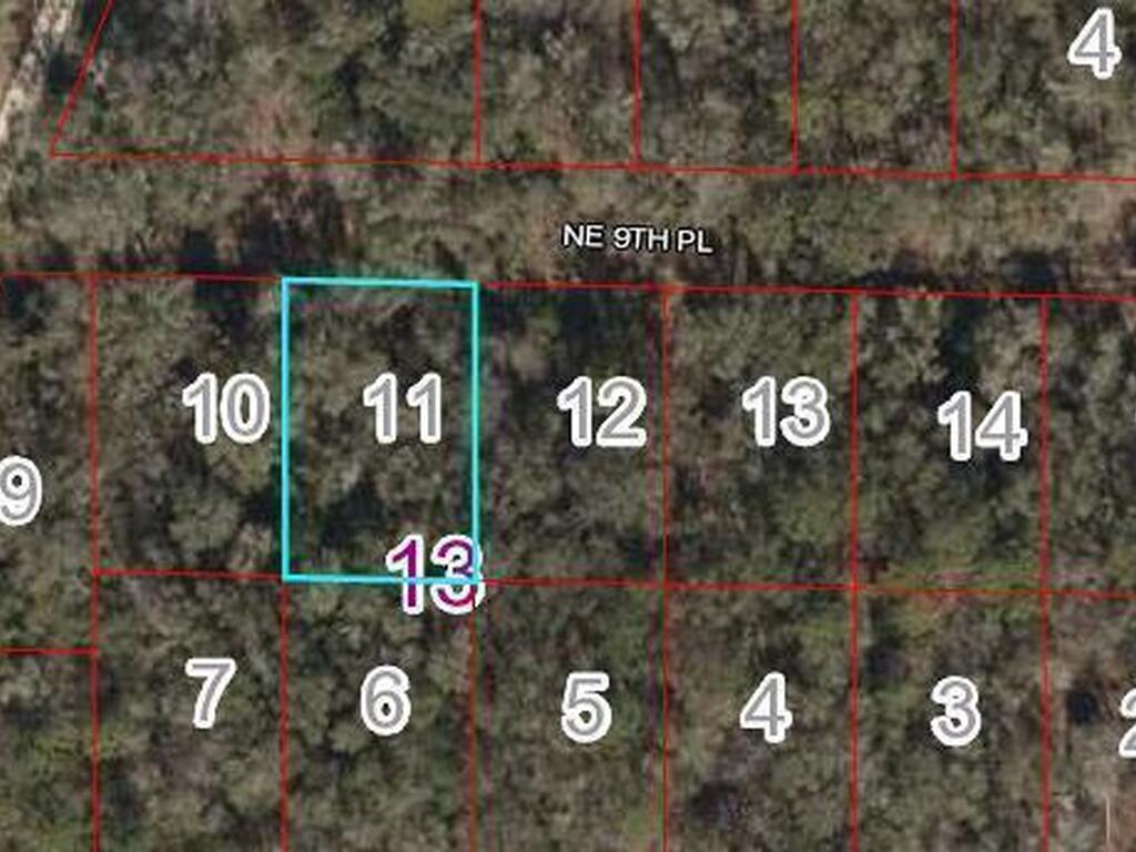 Ne 9th Place, FL 32696