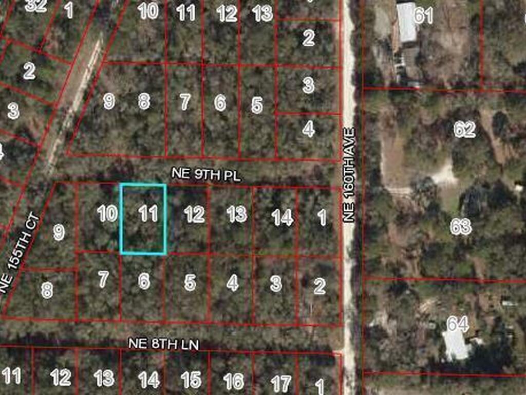 Ne 9th Place, FL 32696