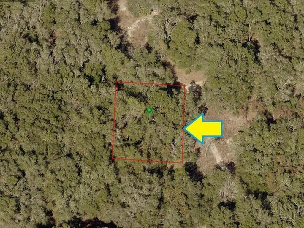 3009 Polk Street, Inverness, FL 34453