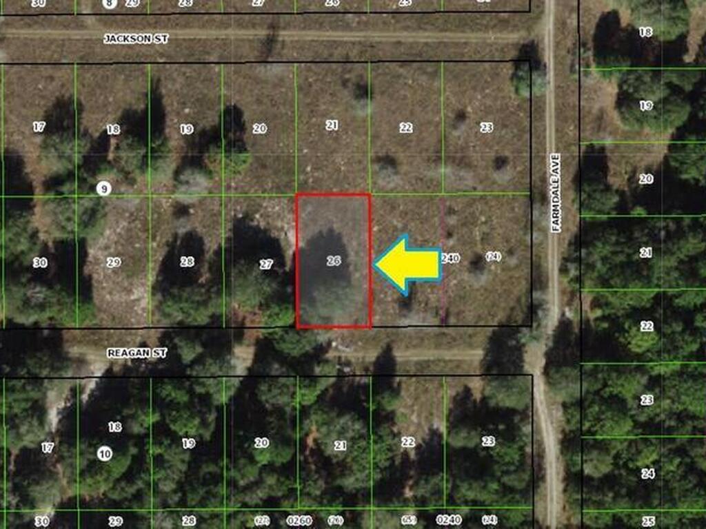 2306 Reagan Street, Inverness, FL 34453