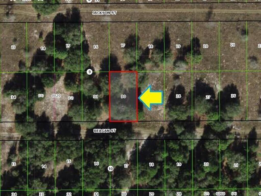 2314 Reagan Street, Inverness, FL 34453