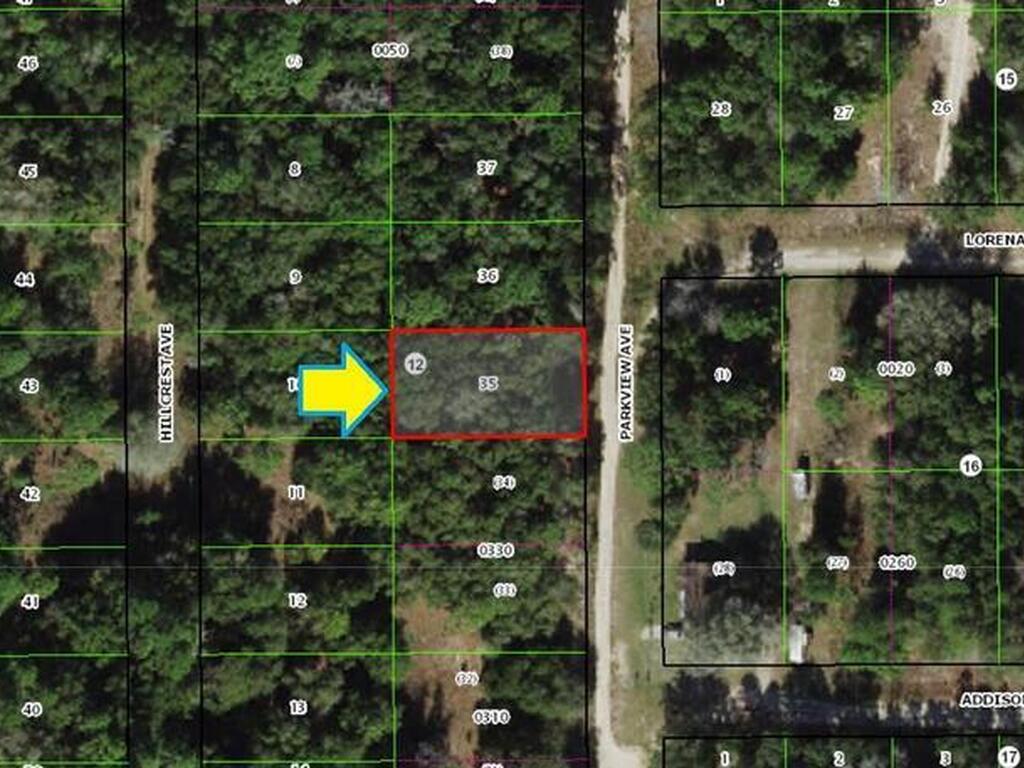 915 Parkview Avenue, Inverness, FL 34453