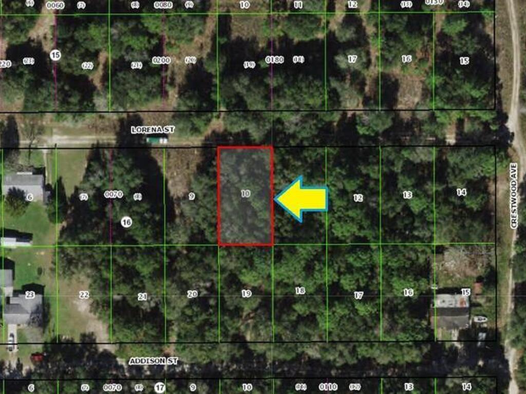 1909 Lorena Street, Inverness, FL 34453