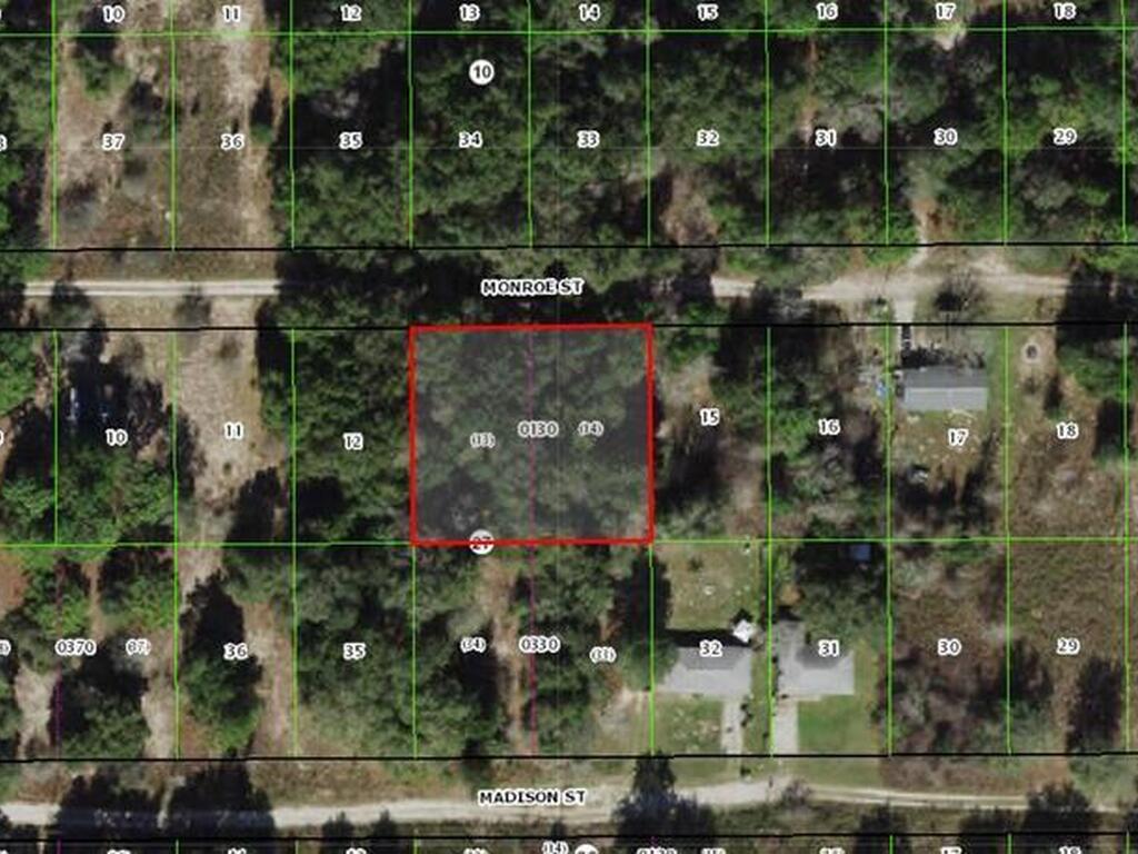 2405 Monroe Street, Inverness, FL 34453