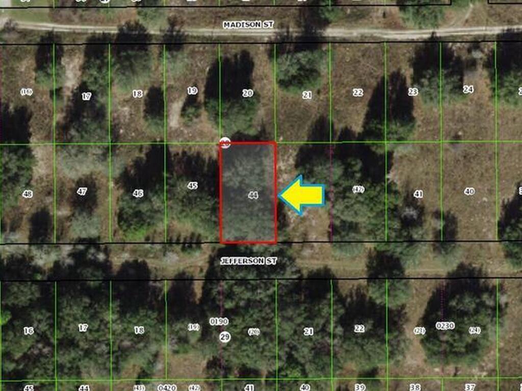 2308 Jefferson Street, Inverness, FL 34453