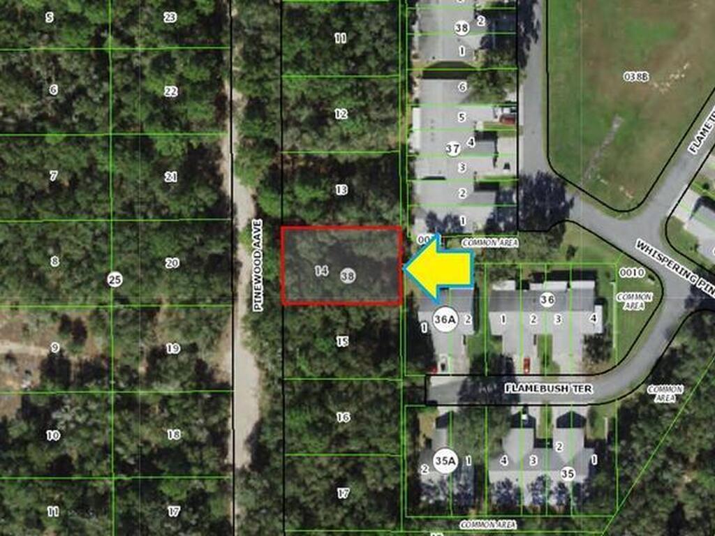 704 Pinewood Avenue, Inverness, FL 34453