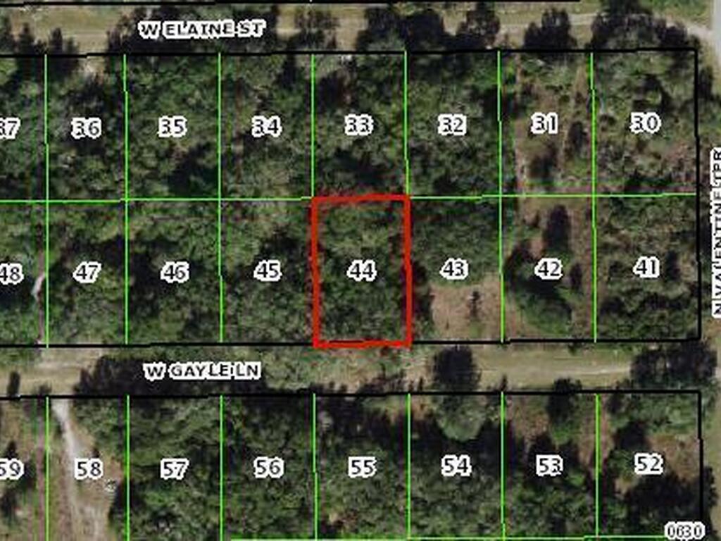 8157 W Gayle Lane, Crystal River, FL 34428