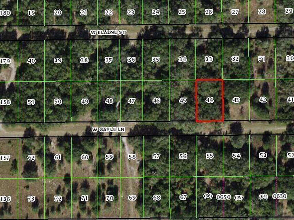 8157 W Gayle Lane, Crystal River, FL 34428