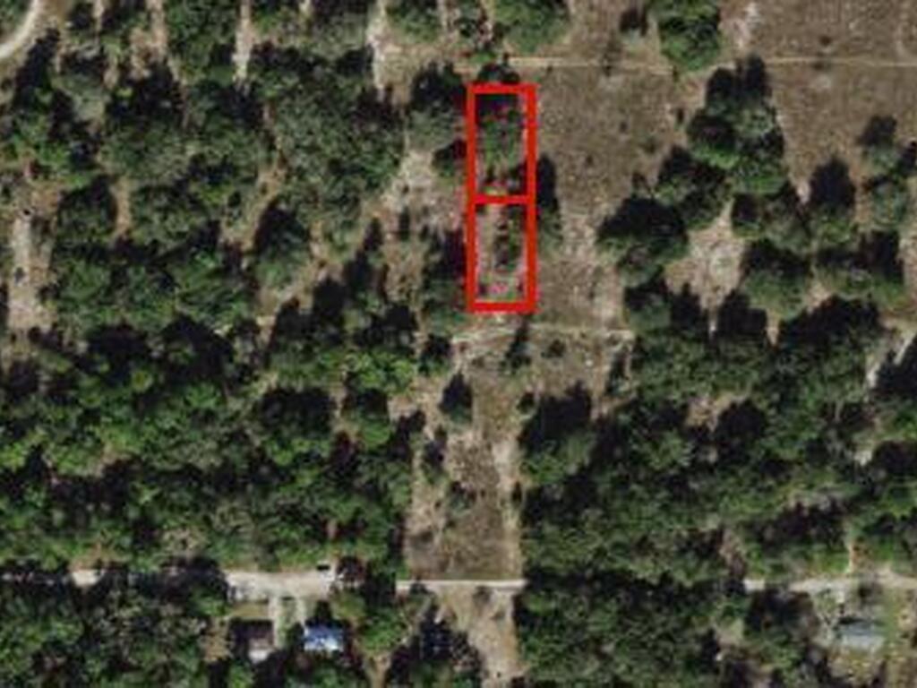 2412 Reagan Street, Inverness, FL 34453