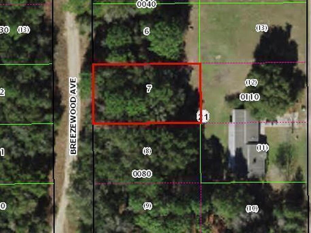 806 Breezewood Avenue, Inverness, FL 34453