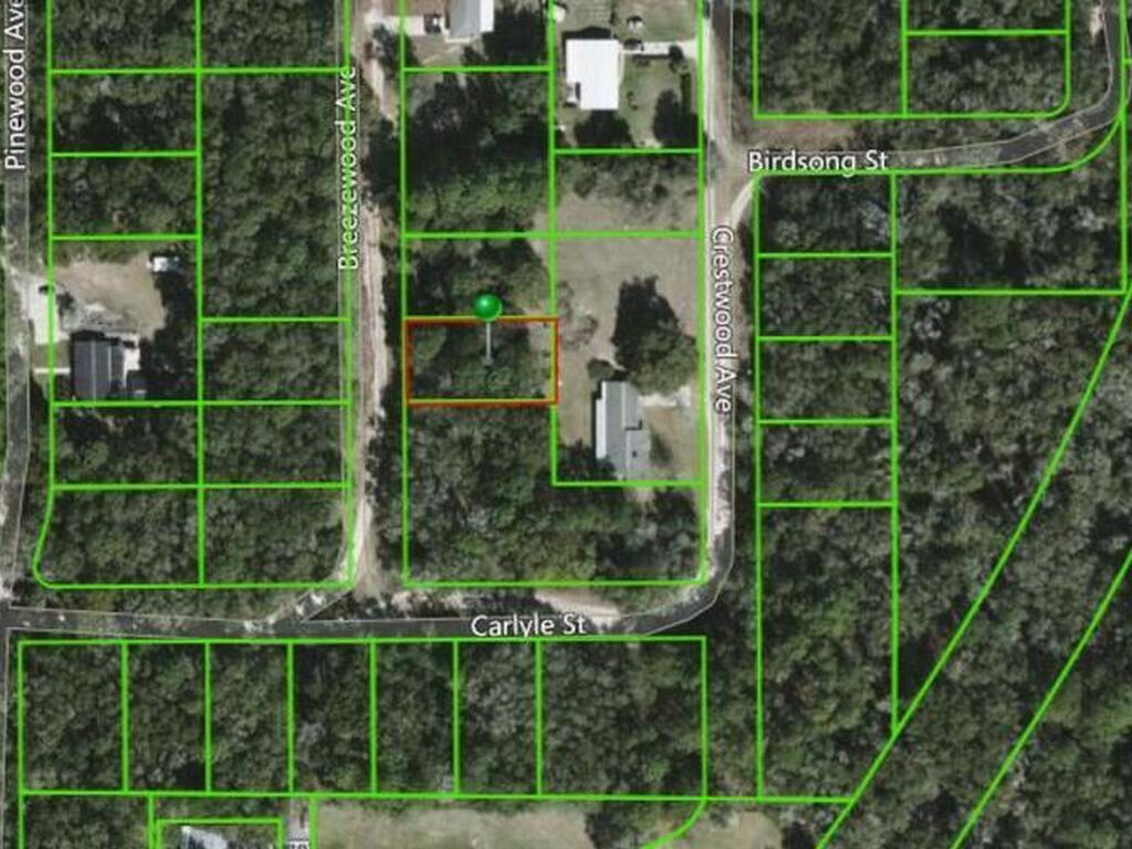 806 Breezewood Avenue, Inverness, FL 34453