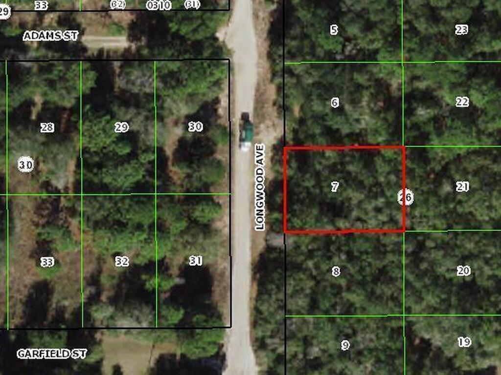 706 Longwood Avenue, Inverness, FL 34453