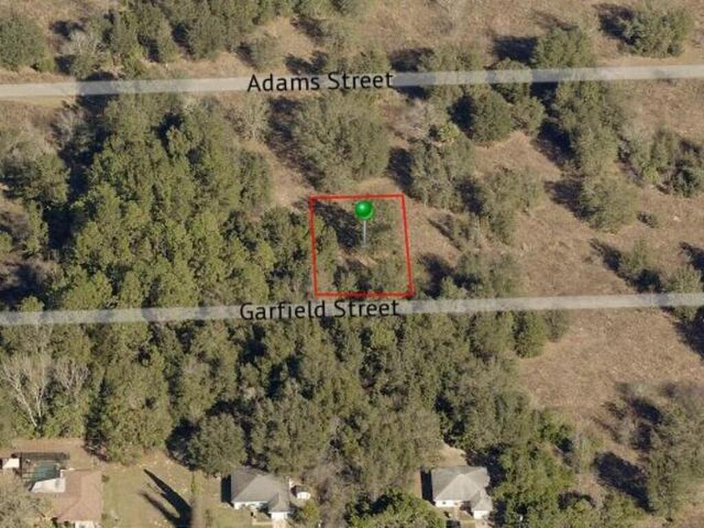 2402 Garfield Street, Inverness, FL 34453