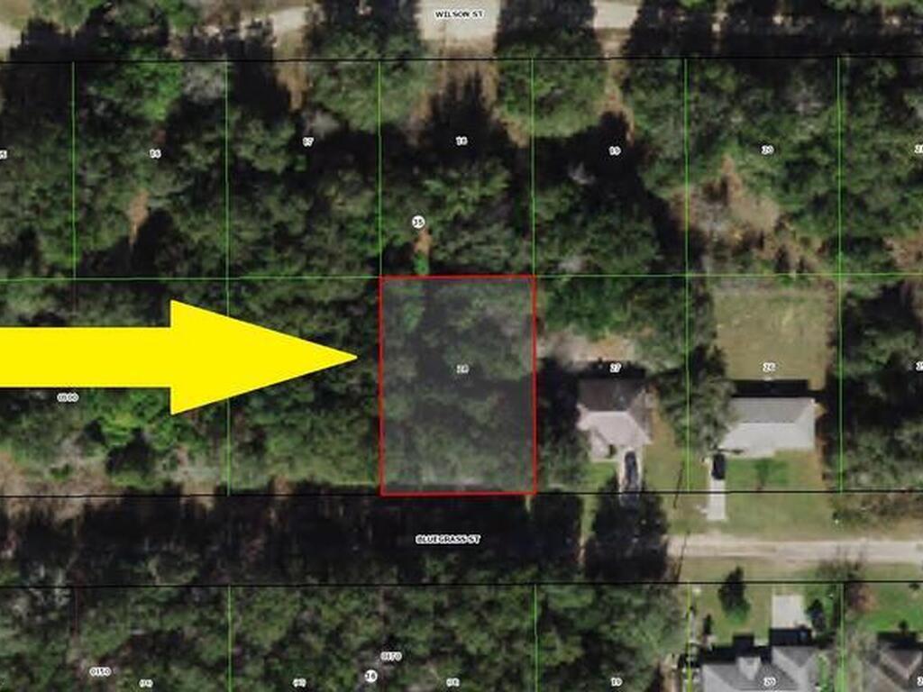 2216 Bluegrass Street, Inverness, FL 34453