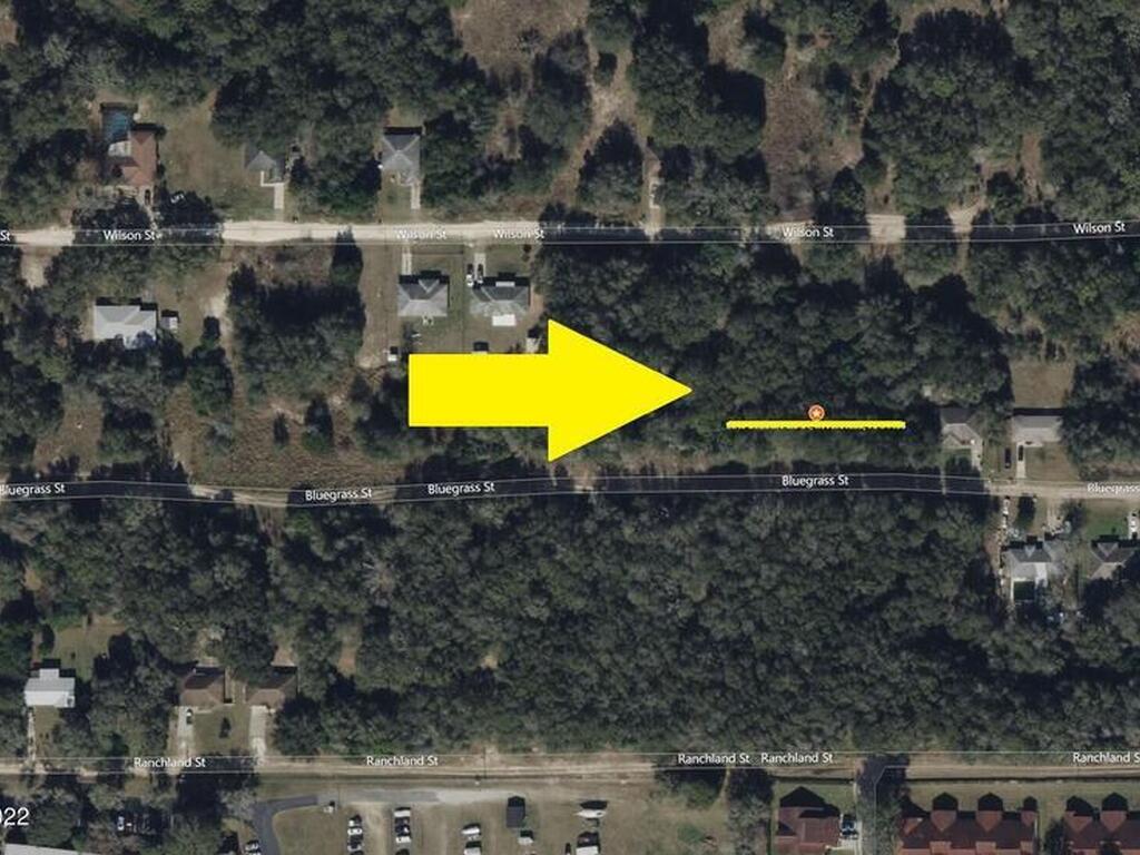 2216 Bluegrass Street, Inverness, FL 34453