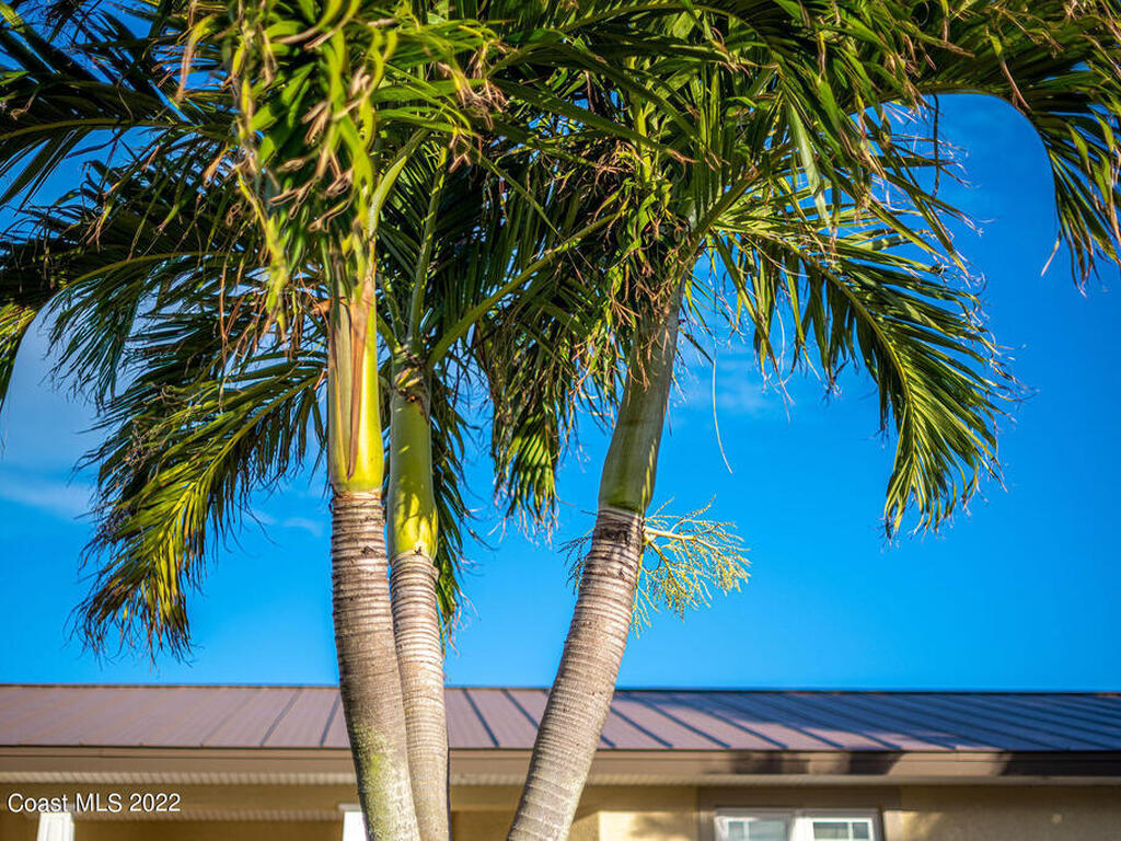 1775 Larchmont Court, Merritt Island, FL 32952