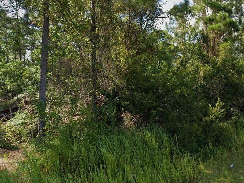 818 Schomer Avenue, Palm Bay, FL 32908