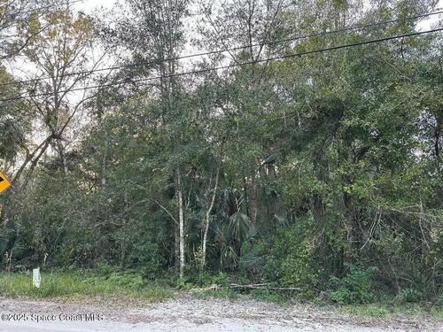 0000 Turpentine Road