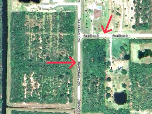 Corner Of Horseshoe/Stallion
