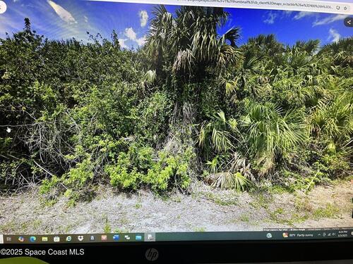 573 Fintonrod Street