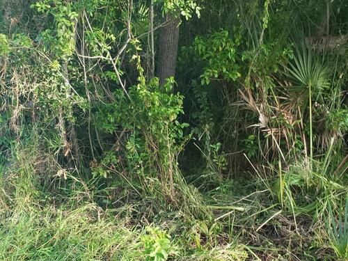 1462 Newfound Harbor Drive