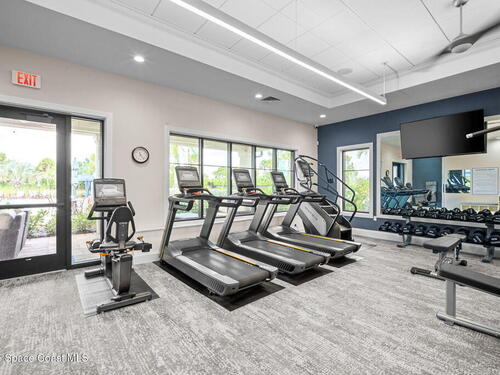 3874 White Alder Way