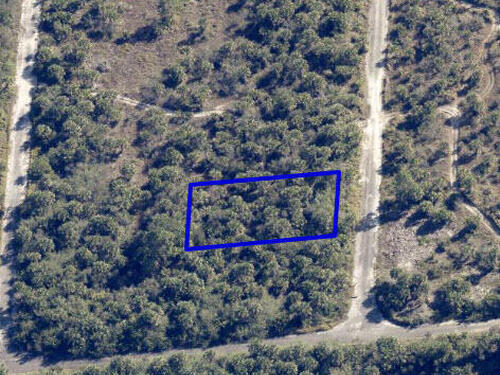 1093 Echinata Street