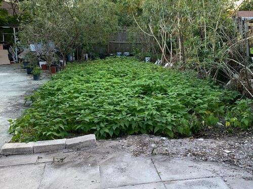 612 E Minnesota Street